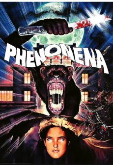 Phenomena